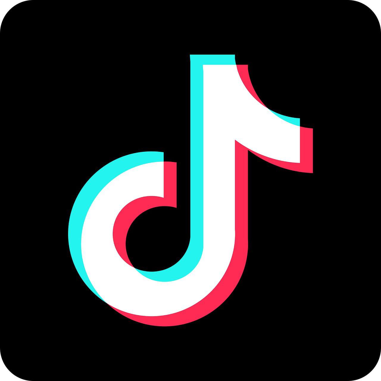TikTok Logo